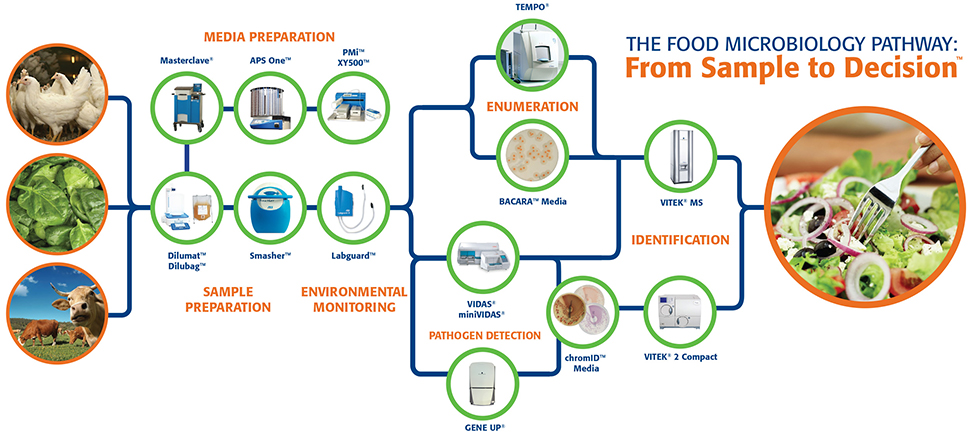 The Food Microbiology Pathway: From Sample to Decision™
